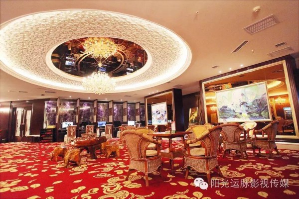 合肥桑拿品茶论坛：茶香雅韵，尽在品味之间